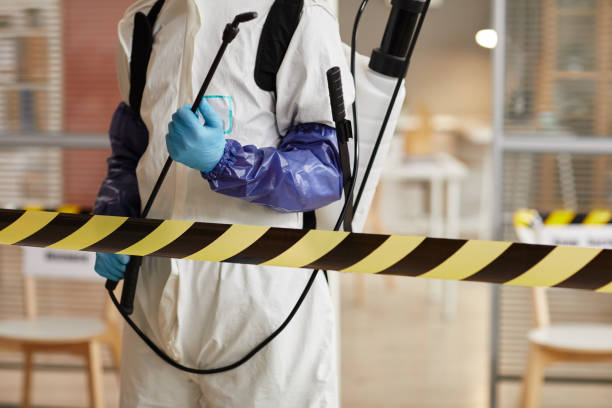 Professional Blood Cleanup technician working in New Boston, TX